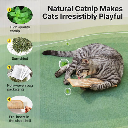 Buy 2 Get 1 Free🔥 🐱Interactive Catnip Chew Toy
