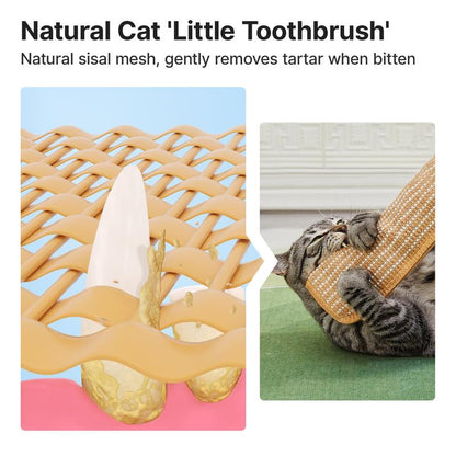 Buy 2 Get 1 Free🔥 🐱Interactive Catnip Chew Toy