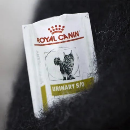 🎁Wool Felt Familiars – Quirky Handmade Companions🐱